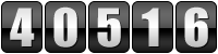 website counter