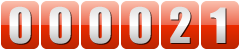 website counter